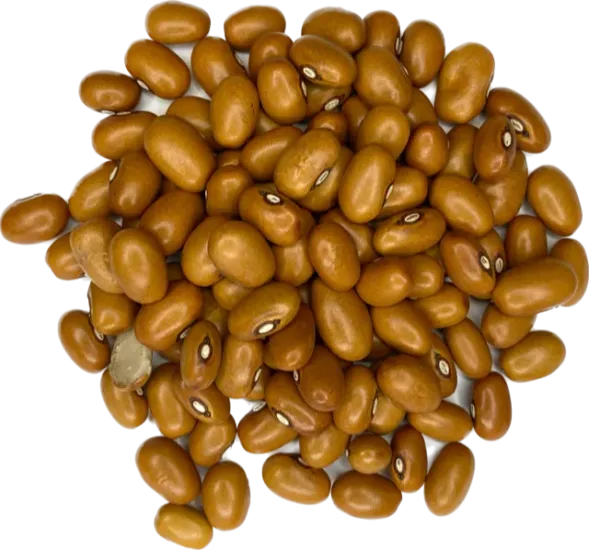 Bruine bonen 500 gram - Zak a 500 gram