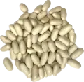 Witte bonen 500 gram - Zak a 500 gram