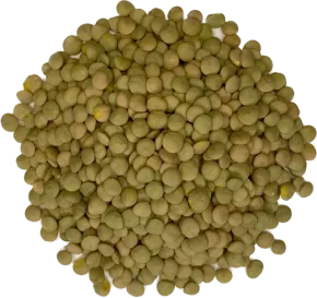 Groene Linzen 500 gram - Zak a 500 gram