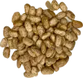 Kievitsbonen 500 gram - Zak a 500 gram