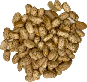 Kievitsbonen 500 gram - Zak a 500 gram