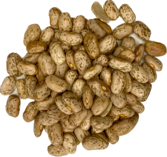 Kievitsbonen 500 gram - Zak a 500 gram