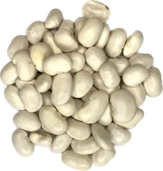 Grote Witte Bonen
