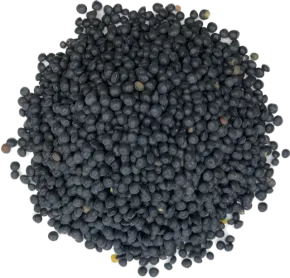 Beluga linzen 500 gram - Zak a 500 gram