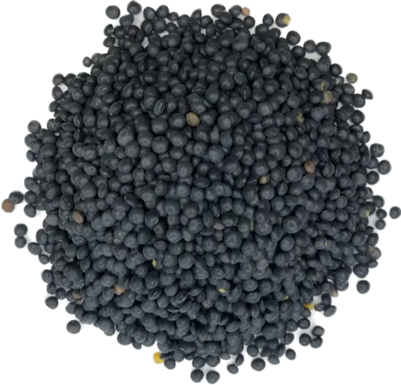 Beluga linzen 500 gram - Zak a 500 gram