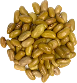 Friese Woudbonen 450 gram - Zak a 450 gram