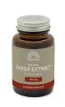 Biologisch Chaga Extract 350mg - 60 capsules - MT2064 pot met 60 capsules