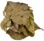 Daun Salamblad - zak 1 kilo
