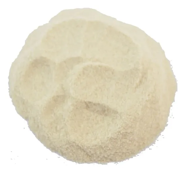 Agar Agar poeder bindmiddel - strooibus 200 gram