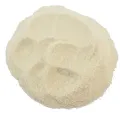 Agar Agar poeder bindmiddel - zakje 80 gram