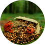 Wildkruiden - strooibus 150 gram