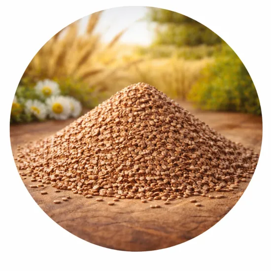 Vlozaad en Psyllium - strooibus 250 gram