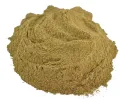Basilicum gemalen - zakje 50 gram