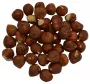 Hazelnoten bruin met vlies - zak 250 gram