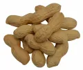 Doppinda's gebrand excellent - zak 1 kilo
