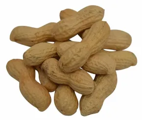 Doppinda's gebrand excellent - zak 1 kilo