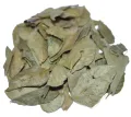 Kerrieblad / Curryblad heel