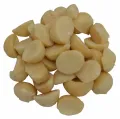 Macadamia noten ongebrand en ongezouten
