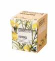 Favourites Rooibos 72 buideltjes - 1 doos met 72 zakjes