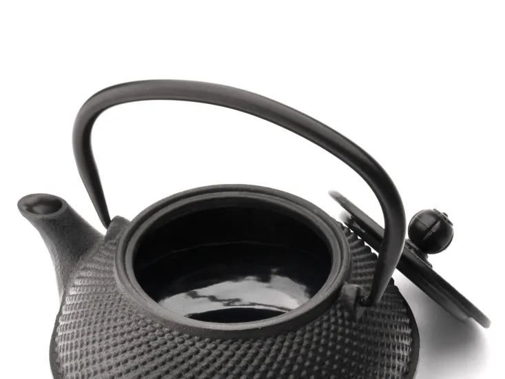 Bredemeijer Theepot Jang 0.8 L gietijzer zwart - G001Z