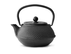 Bredemeijer Theepot Jang 0.8 L gietijzer zwart - G001Z