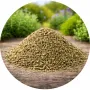 Tijm gesneden Holland - zakje 25 gram