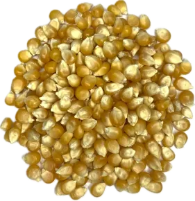 Popcornmais 1 kilo - 2 zak a 500 gram