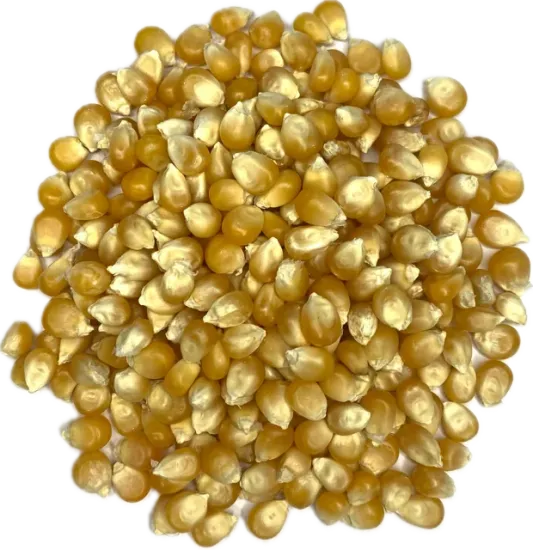 Popcornmais 1 kilo - 2 zak a 500 gram