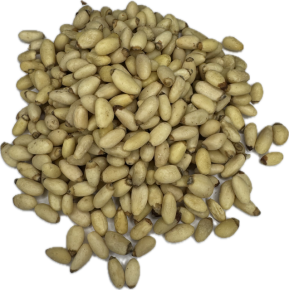 Pijnboompitten Yunnanensis - strooibus 250 gram